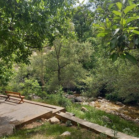 Forest Guest House Mirzakishlak Exterior foto
