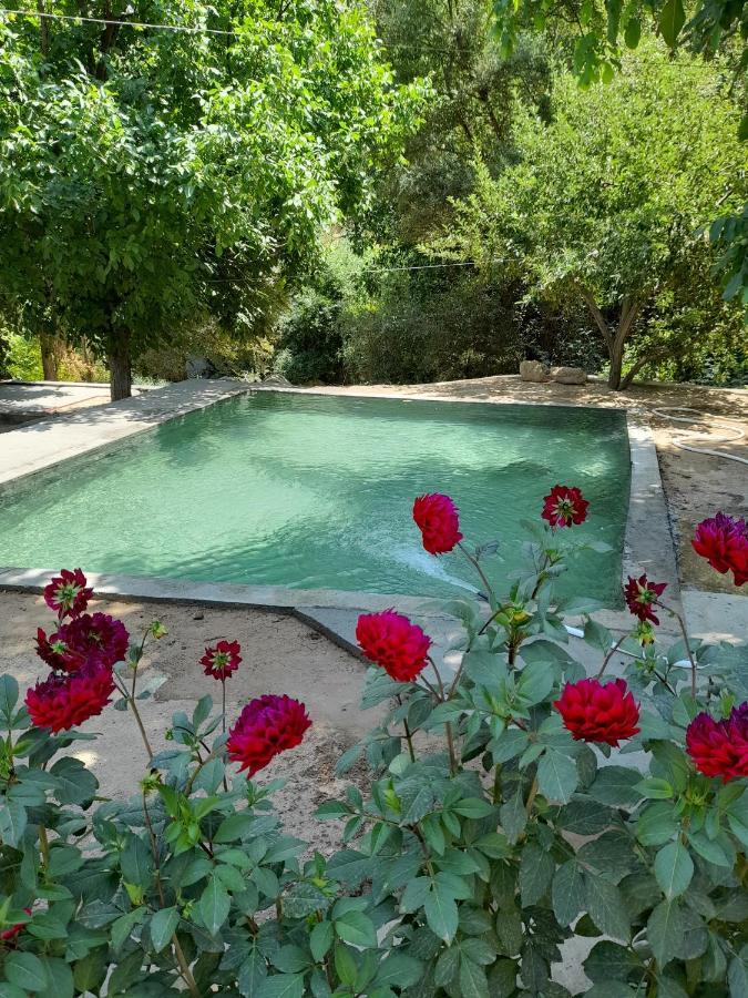 Forest Guest House Mirzakishlak Exterior foto