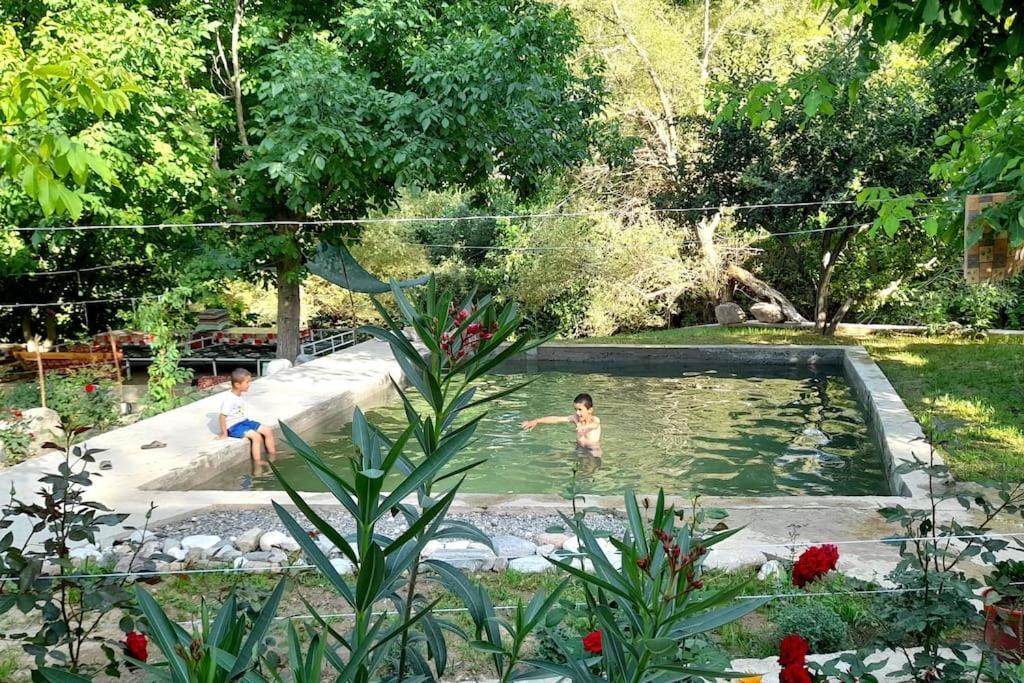 Forest Guest House Mirzakishlak Exterior foto